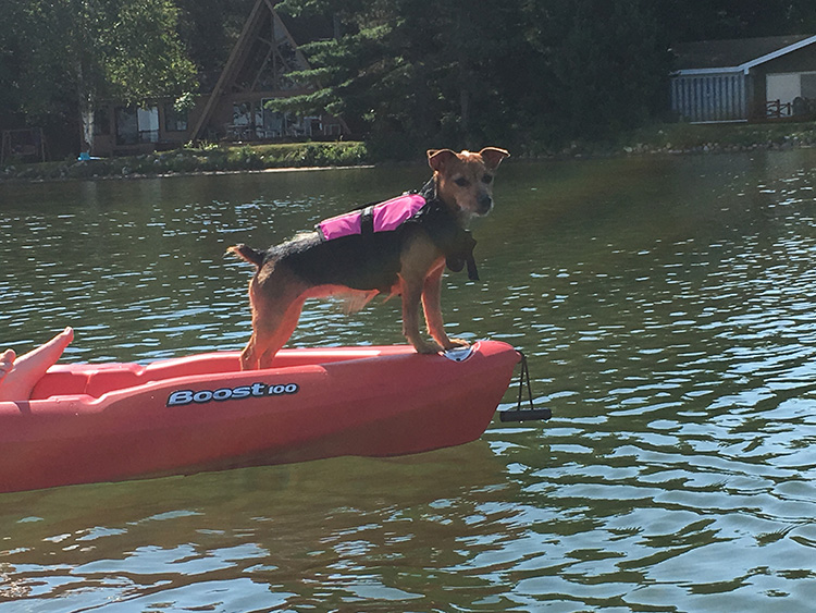 Our Canoe Loving Dog, Claire